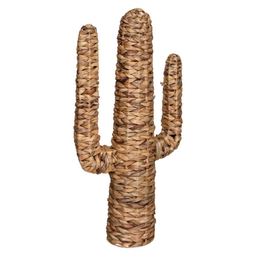 Cactus "Hacienda"